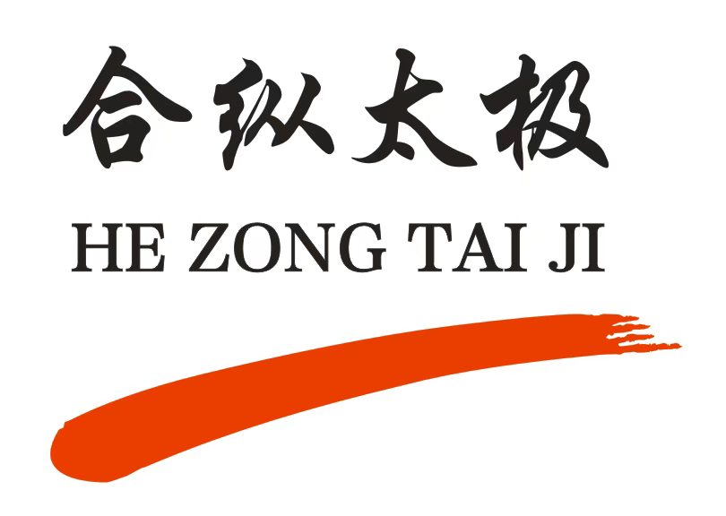 联系合纵太极